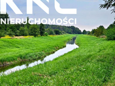 Działka rolna Dąbrowa