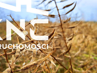 Działka usługowa Nałęczów sprzedam