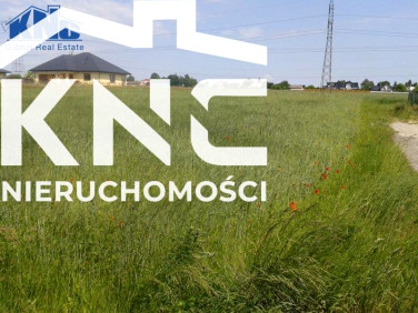 Działka rolna Biskupie-Kolonia sprzedam