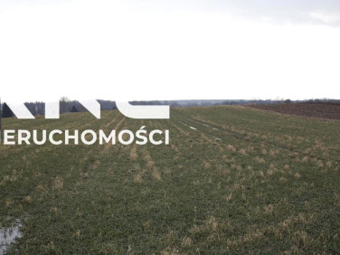 Działka budowlana Tomaszowice sprzedam