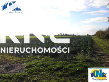 Działka przemysłowa Świdnik sprzedam