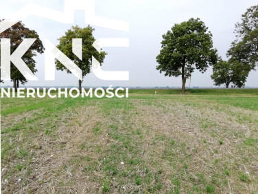 Działka inwestycyjna Nowe Chojno