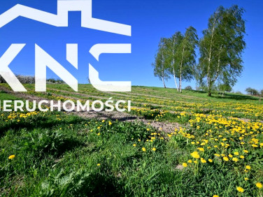 Działka rolna sprzedam