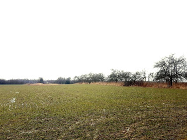 Działka rolna Uniszowice sprzedam