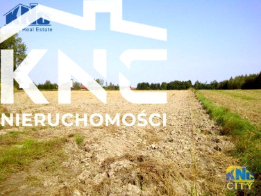 Działka rolna Majdan Krasieniński sprzedam