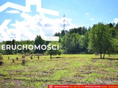 Działka rolna Pliszczyn