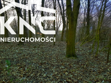 Działka leśna Kocianów sprzedam