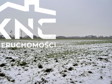 Działka przemysłowa Ludwin sprzedam