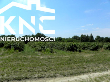 Działka budowlana Głusk