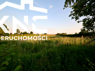 Działka budowlana Panieńszczyzna sprzedam