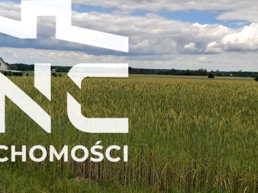 Działka budowlana Starościn sprzedam