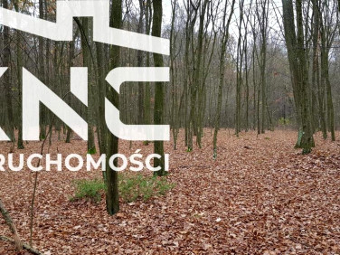 Działka leśna Samoklęski sprzedam