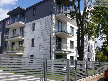 Mieszkanie apartamentowiec wynajem