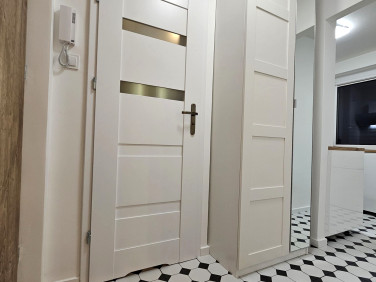 Mieszkanie Wrocław wynajem