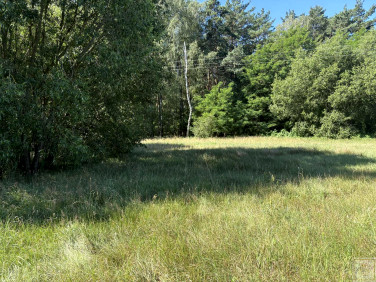 Działka siedliskowa Osowo Stare