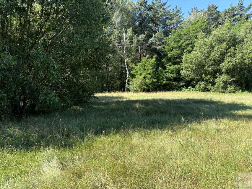 Działka siedliskowa Osowo Stare