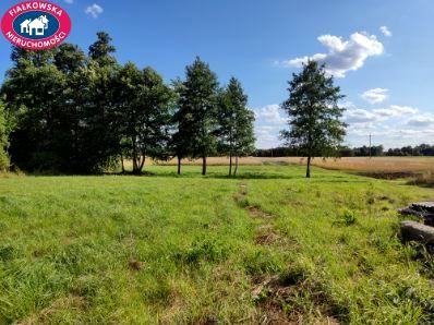 Działka inna Pniowe