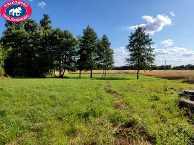 Działka inna Pniowe