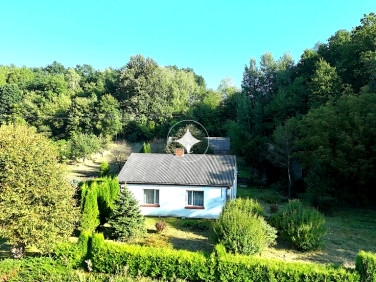 Dom Skomorochy Duże