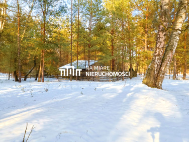Działka leśna Radawa