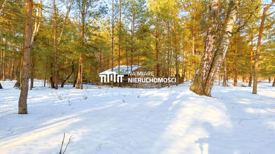 Działka leśna Radawa