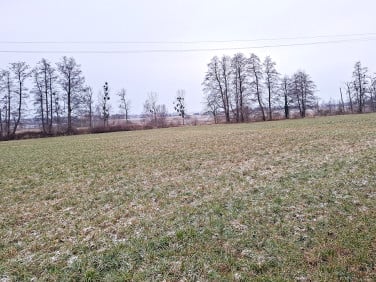 Działka inna sprzedam