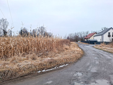 Działka inna Prószków