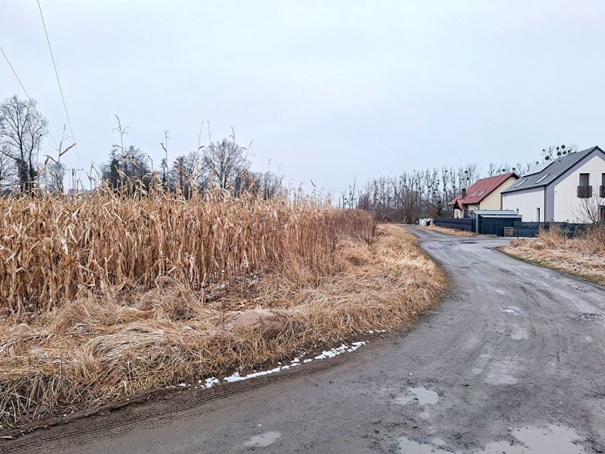 Działka inna Prószków