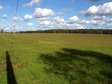 Działka budowlana Silna