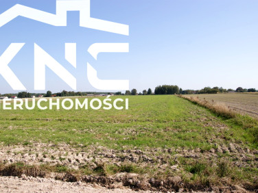 Działka rekreacyjna Krasne