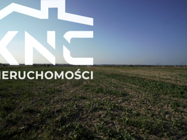 Działka budowlana Długie sprzedam