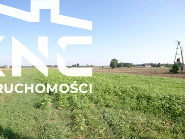 Działka Rudka Gołębska