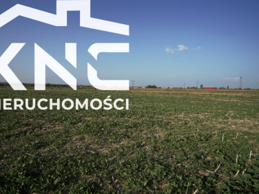 Działka budowlana Długie sprzedam