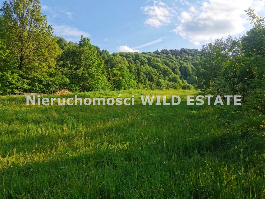 Działka budowlana Wołkowyja