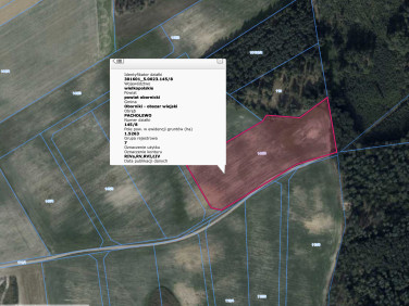 Działka Pacholewo