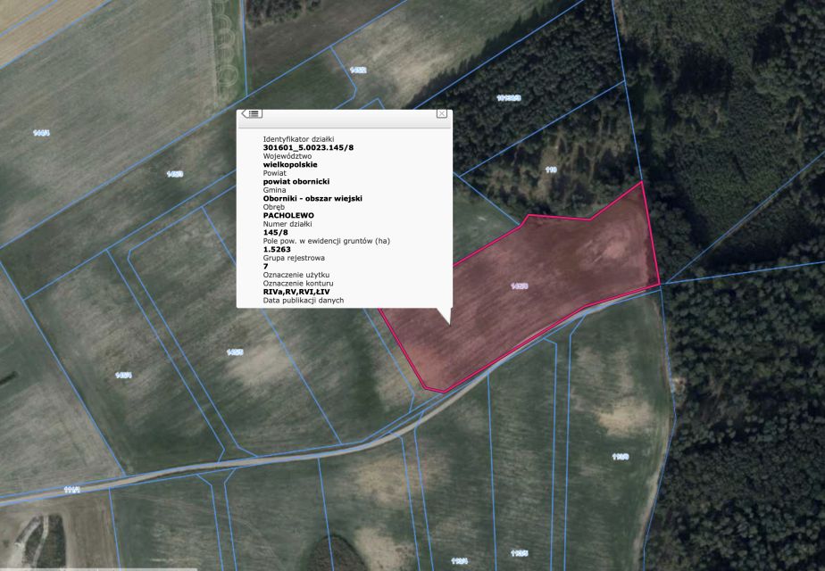 Działka Pacholewo