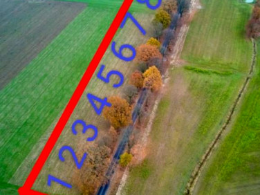 Działka budowlana Mały Buczek