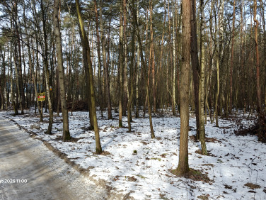 Działka rekreacyjna Łódź