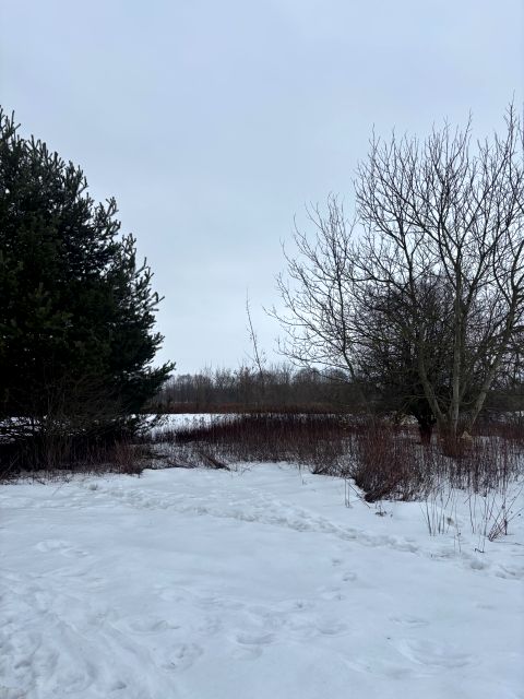 Działka Borzęcin Duży