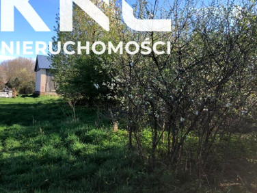 Działka budowlana Anielpol