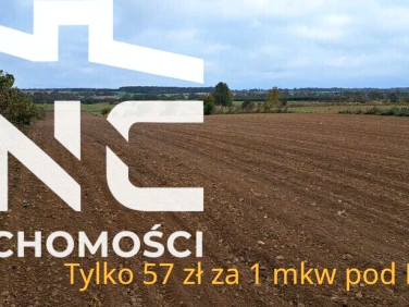 Działka budowlana Panieńszczyzna sprzedam