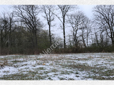 Działka budowlana Kraśnicza Wola