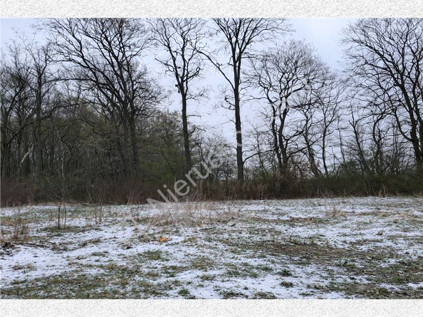 Działka budowlana Kraśnicza Wola