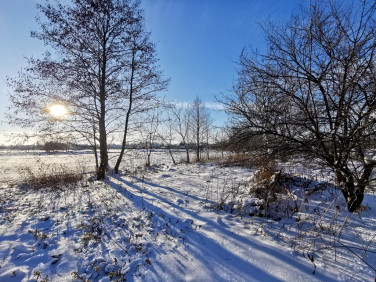 Działka budowlano-rolna Głuchów