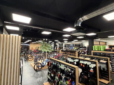 Lokal Kraków wynajem