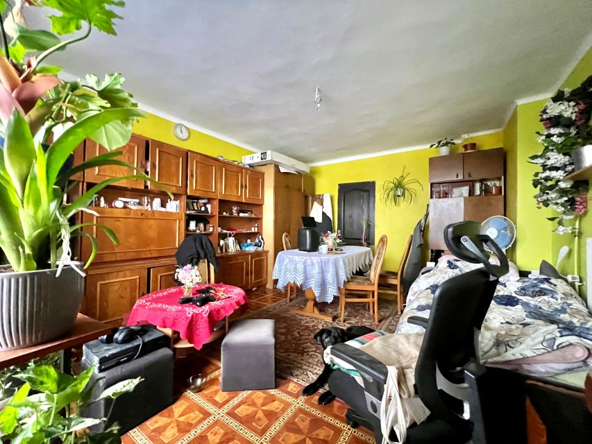 Mieszkanie Sosnowiec sprzedaż