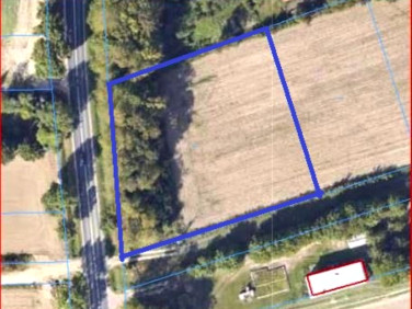 Działka siedliskowa Przążewo