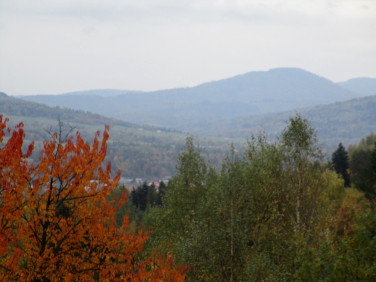 Działka rekreacyjna Cisiec