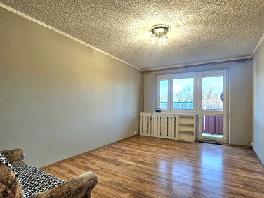 Mieszkanie Buk wynajem