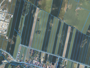 Działka rolna Kwielice